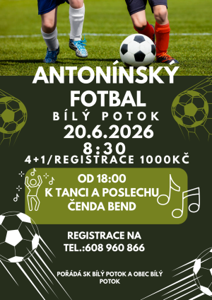 fotbalový turnaj na hřišti